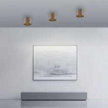 Laden Sie das Bild in den Galerie-Viewer, Deckenleuchte Point