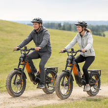 Laden Sie das Bild in den Galerie-Viewer, Lankeleisi RX800 Plus 20" Fatbike 960Wh vollgefedertes SUV-E-Bike